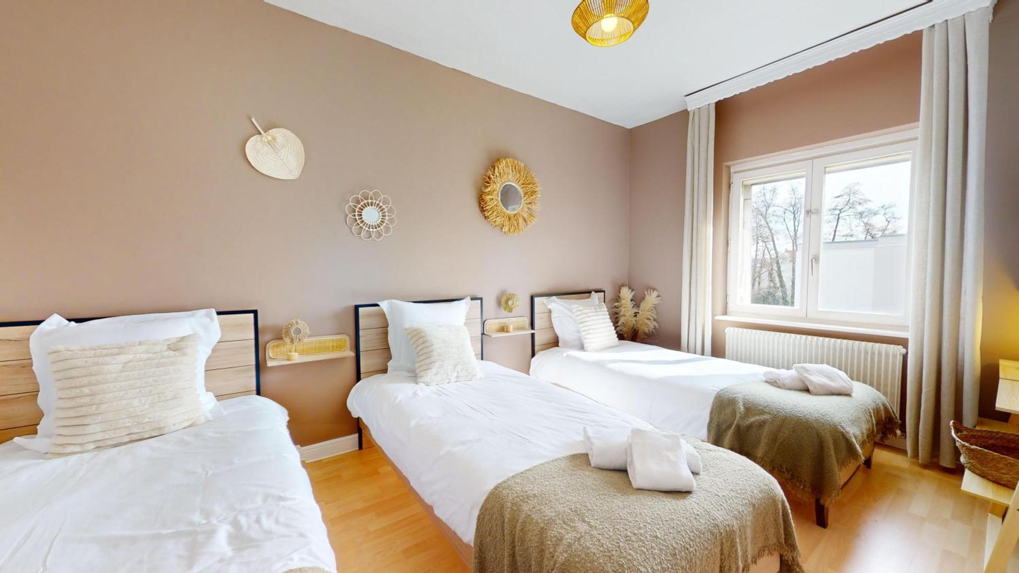 L'Alsacienne Apartment Colmar Bagian luar foto